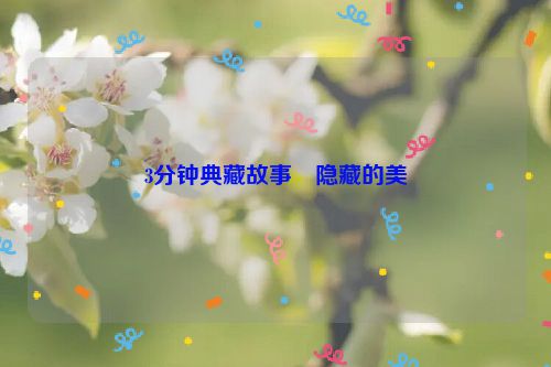 3分钟典藏故事・隐藏的美