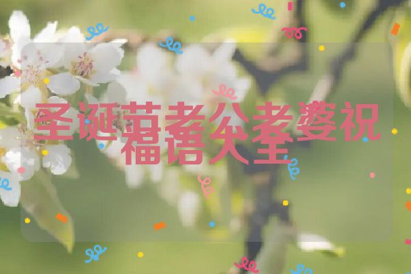 圣诞节老公老婆祝福语大全