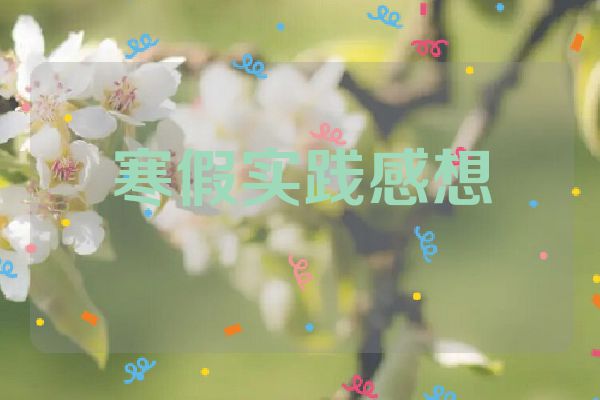 寒假实践感想