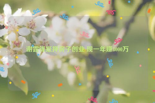 谢霆锋抵押房子创业 现一年赚8000万
