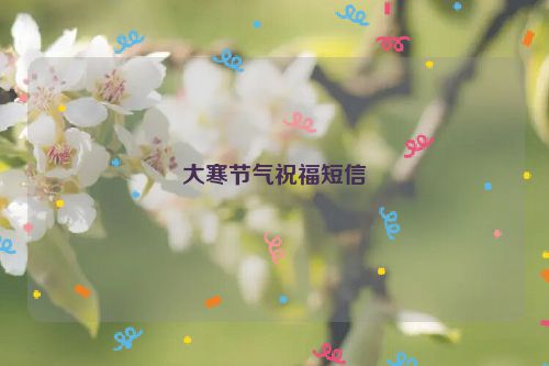 大寒节气祝福短信