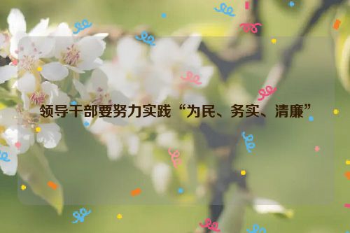 领导干部要努力实践“为民、务实、清廉”
