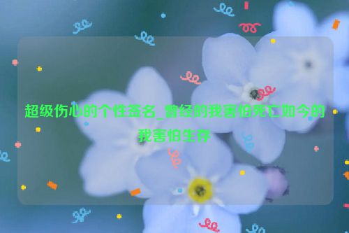 超级伤心的个性签名_曾经的我害怕死亡如今的我害怕生存