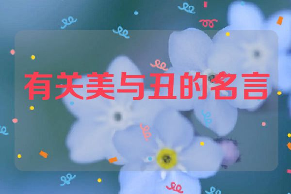 有关美与丑的名言