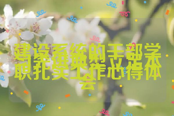 建设系统的干部学习先进典型立足本职扎实工作心得体会