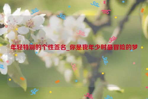 年轻特别的个性签名_你是我年少时最冒险的梦