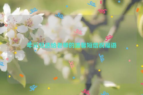 年元旦送给老师的温馨短信祝福语