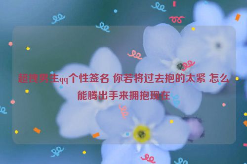 超拽男生qq个性签名 你若将过去抱的太紧 怎么能腾出手来拥抱现在