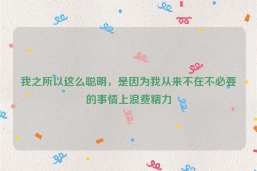 我之所以这么聪明，是因为我从来不在不必要的事情上浪费精力