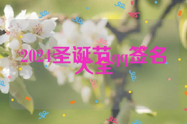 2024圣诞节qq签名大全