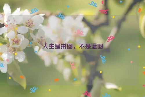 人生是拼图，不是蓝图