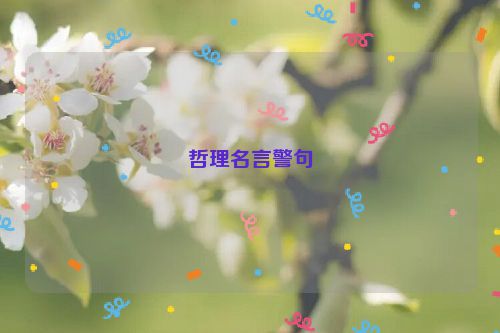 哲理名言警句