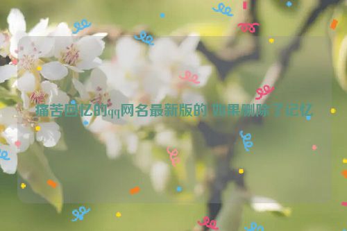 痛苦回忆的qq网名最新版的 如果删除了记忆