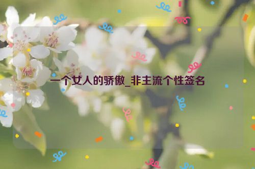 一个女人的骄傲_非主流个性签名