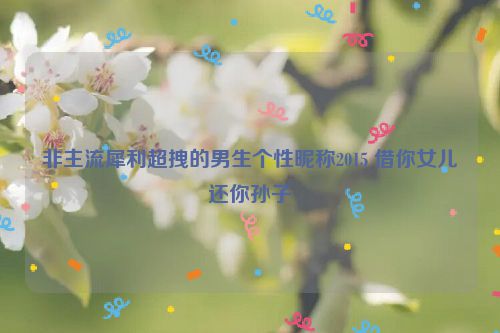 非主流犀利超拽的男生个性昵称2015 借你女儿还你孙子