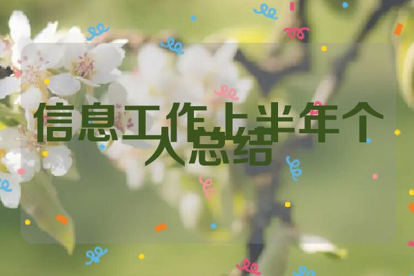 信息工作上半年个人总结