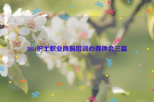 2014护士职业岗前培训心得体会三篇