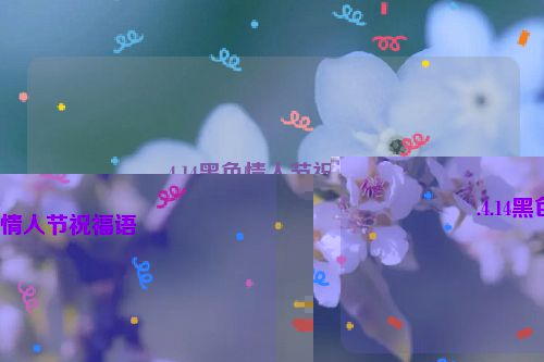 .4.14黑色情人节祝福语