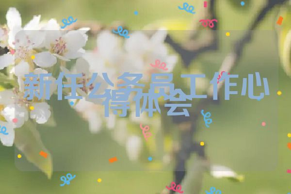 新任公务员工作心得体会