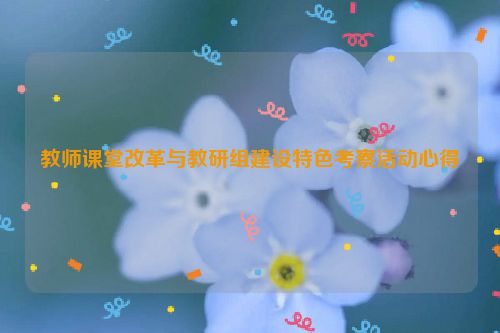 教师课堂改革与教研组建设特色考察活动心得