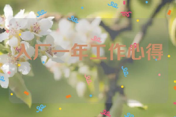 入厂一年工作心得
