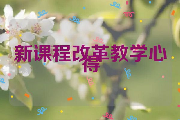 新课程改革教学心得