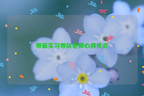 带薪实习带队老师心得体会