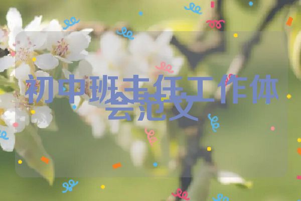 初中班主任工作体会范文