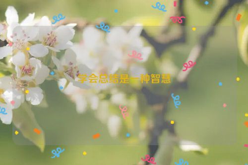 学会总结是一种智慧