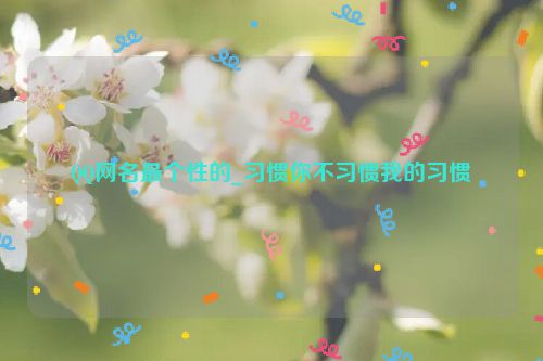 QQ网名最个性的_习惯你不习惯我的习惯