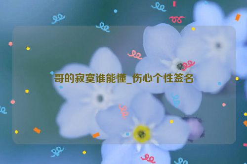 哥的寂寞谁能懂_伤心个性签名