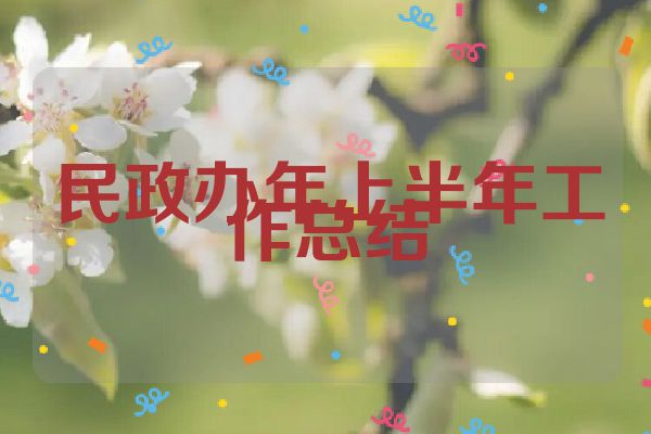 民政办年上半年工作总结