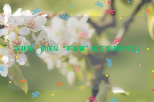 毕业生，你该从“不重要”的工作中学什么？