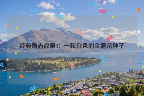 经典励志故事3：一粒白色的金盏花种子