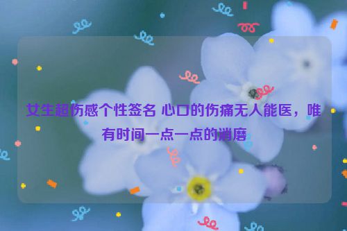 女生超伤感个性签名 心口的伤痛无人能医，唯有时间一点一点的消磨