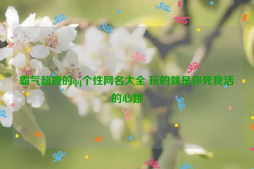 霸气超拽的qq个性网名大全 玩的就是你死我活的心跳
