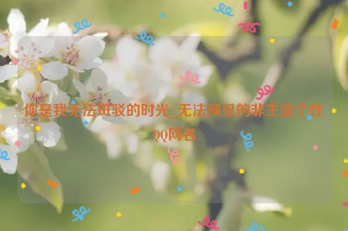 你是我无法斑驳的时光_无法预见的非主流个性QQ网名