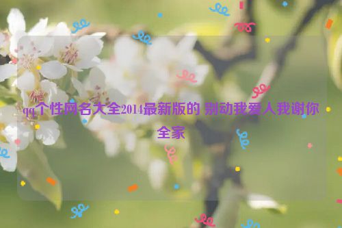 qq个性网名大全2014最新版的 别动我爱人我谢你全家