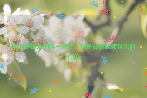 努力是成功的唯一捷径，也是成功必须付出的代价