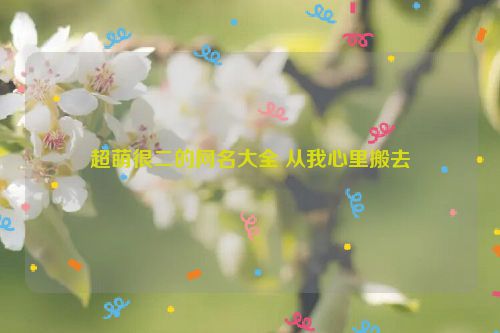 超萌很二的网名大全 从我心里搬去