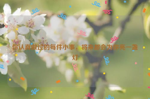 你认真做过的每件小事，将来都会为你亮一盏灯