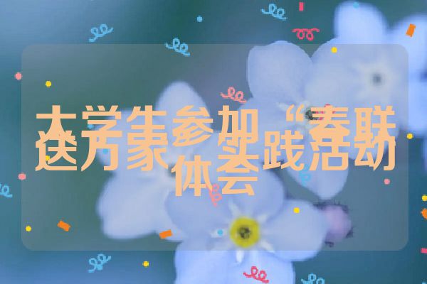 大学生参加“春联送万家”实践活动体会