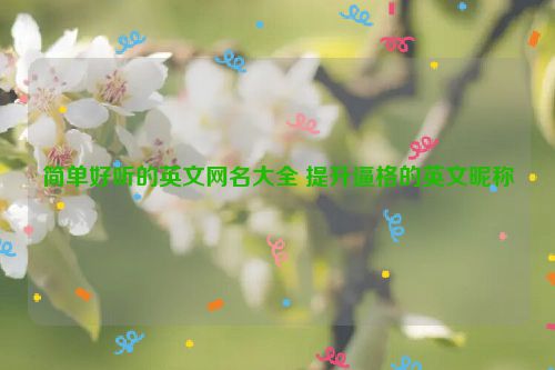 简单好听的英文网名大全 提升逼格的英文昵称