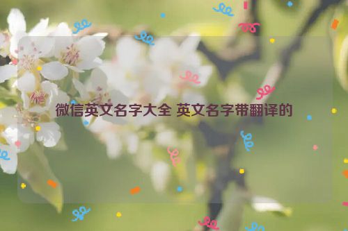 微信英文名字大全 英文名字带翻译的