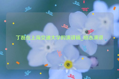 丁磊在上海交通大学的演讲稿_励志演讲