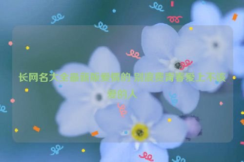 长网名大全最新版爱情的 别浪费青春爱上不该爱的人