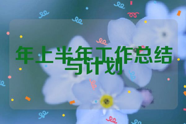 年上半年工作总结与计划