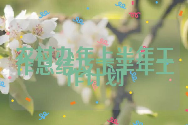 农村办年上半年工作总结及下半年工作计划