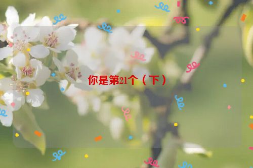 你是第21个(下)