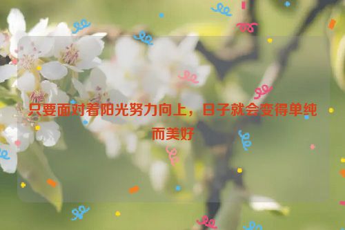 只要面对着阳光努力向上，日子就会变得单纯而美好